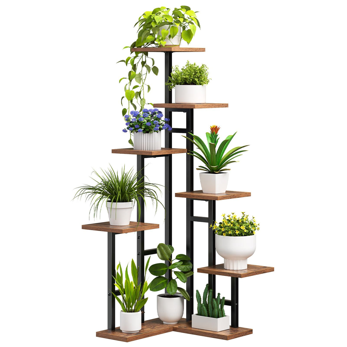 Multi-tiered plant shelf with various potted plants on a white background