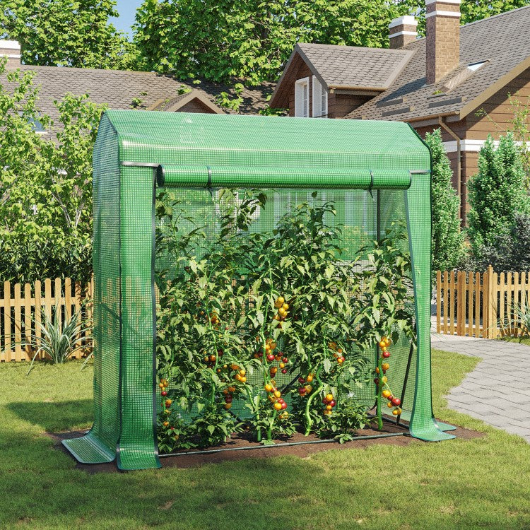 LARMNEE Tomaten Gewächshaus, Foliengewächshaus, Tomatenhaus Stabil, Tomatengewächshaus mit Spitzdach, 150 x 50 x 150 cm, Tomatenzelt, Frühbeet für Gemüse, Obst, Blumen, Garten, Balkon